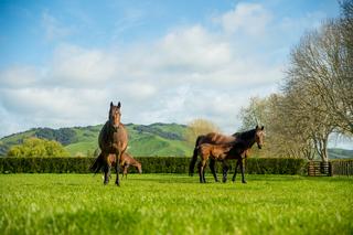 There are six remaining Pearl Series races in the 2019-20 racing season.